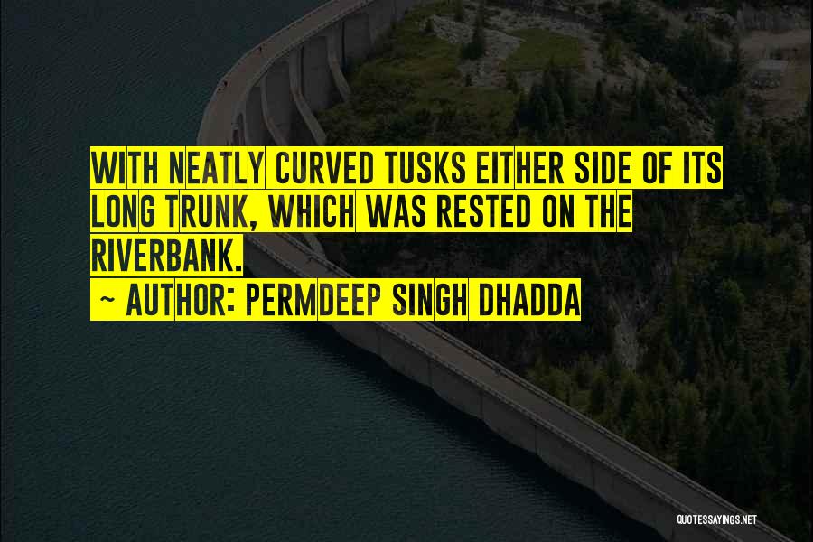 Curved Quotes By Permdeep Singh Dhadda