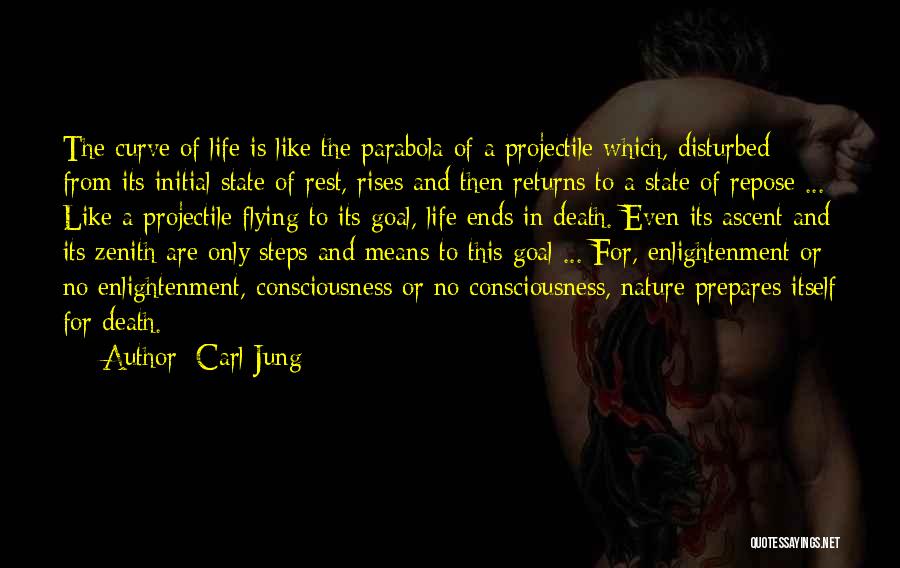 Curves In Life Quotes By Carl Jung