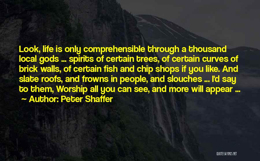 Curves In Life Quotes By Peter Shaffer