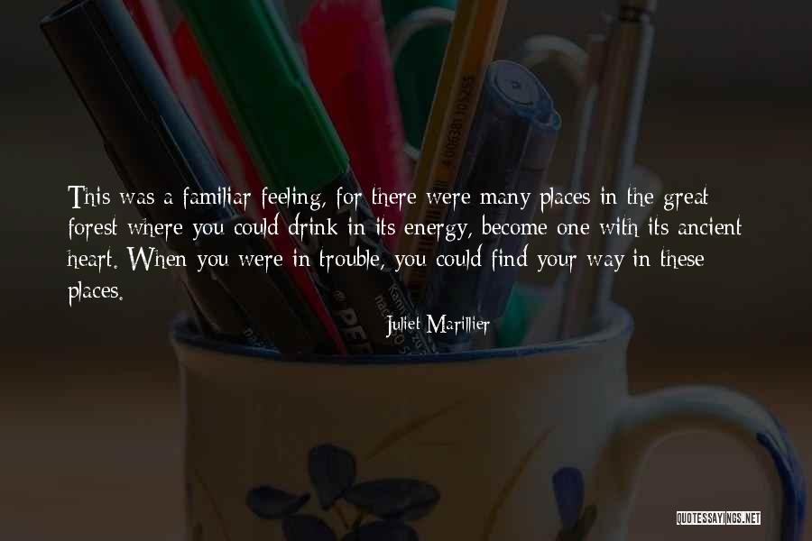 Cusicanqui Productora Quotes By Juliet Marillier Cusicanqui Productora Quotes By Juliet Marillier