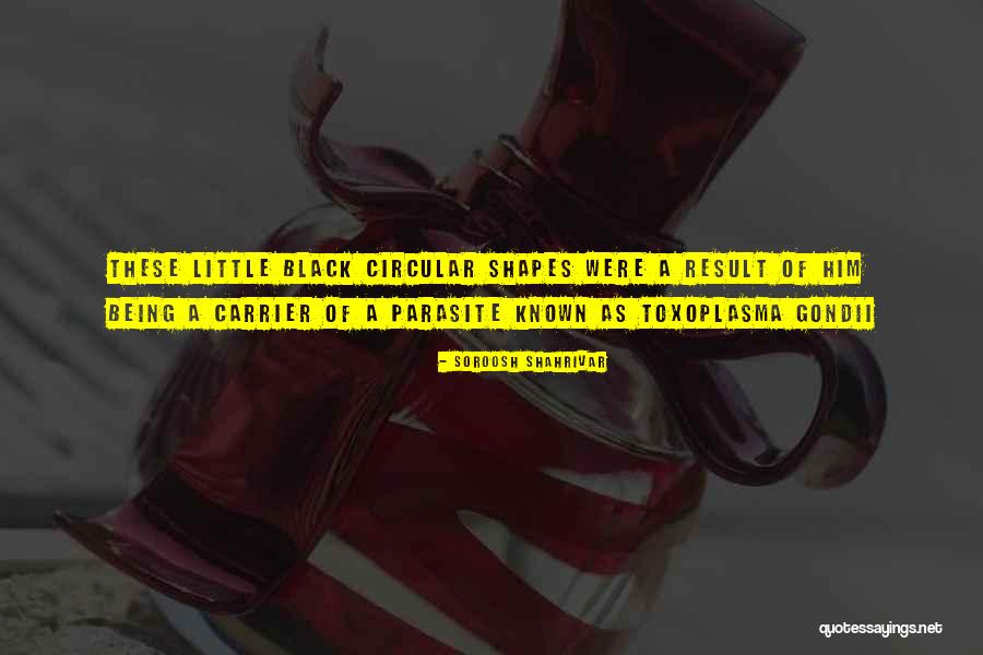 Cusick Funeral Home Quotes By Soroosh Shahrivar Cusick Funeral Home Quotes By Soroosh Shahrivar