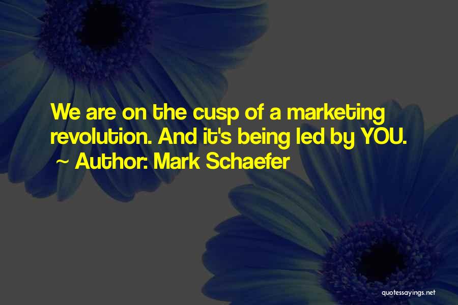 Cusp Quotes By Mark Schaefer