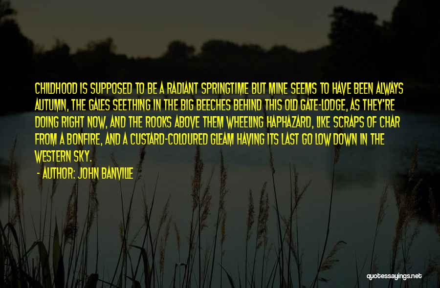 Custard Quotes By John Banville