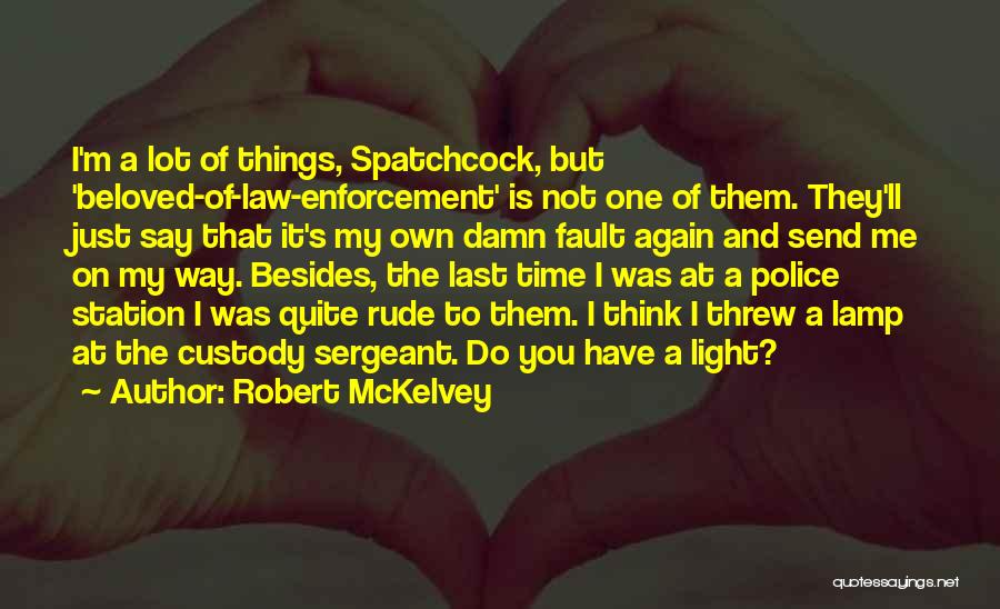 Custody Quotes By Robert McKelvey