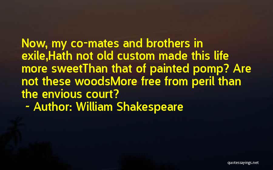 Custom Painted Quotes By William Shakespeare