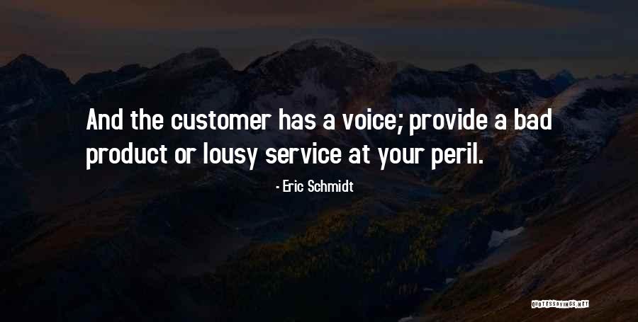 Customer Self Service Quotes By Eric Schmidt