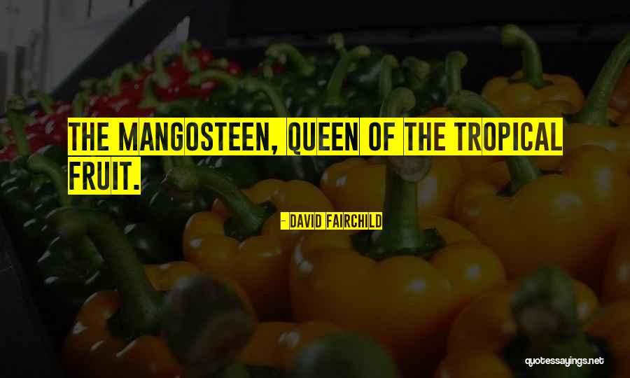 Customise Or Customize Quotes By David Fairchild Customise Or Customize Quotes By David Fairchild