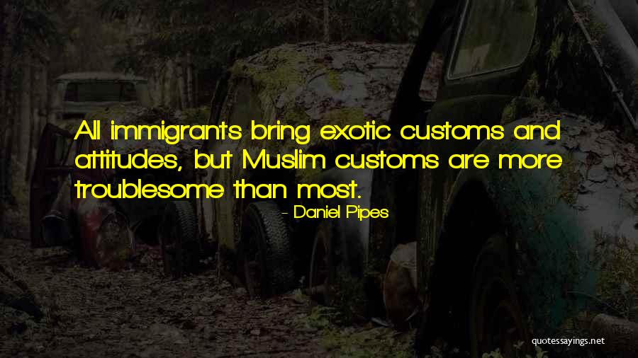 Customs Quotes By Daniel Pipes Customs Quotes By Daniel Pipes