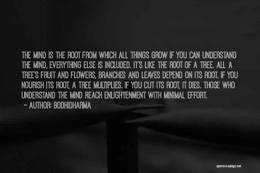 Cut Flowers Quotes By Bodhidharma