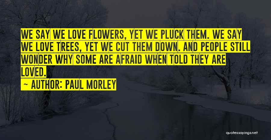 Cut Flowers Quotes By Paul Morley