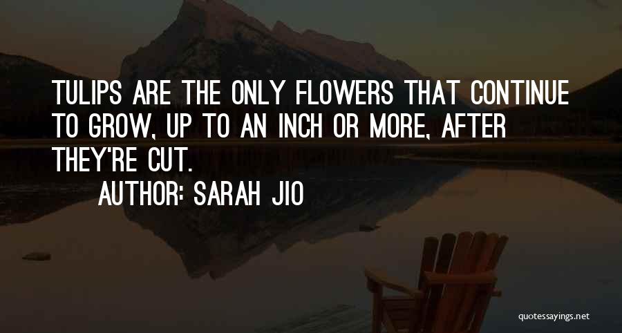 Cut Flowers Quotes By Sarah Jio