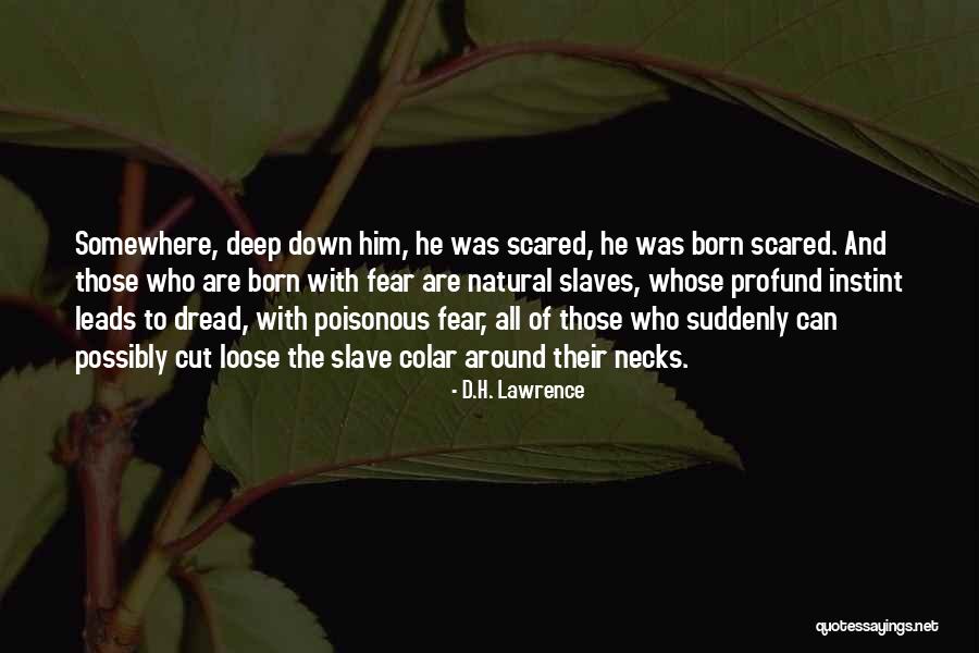 Cut Loose Quotes By D.H. Lawrence Cut Loose Quotes By D.H. Lawrence