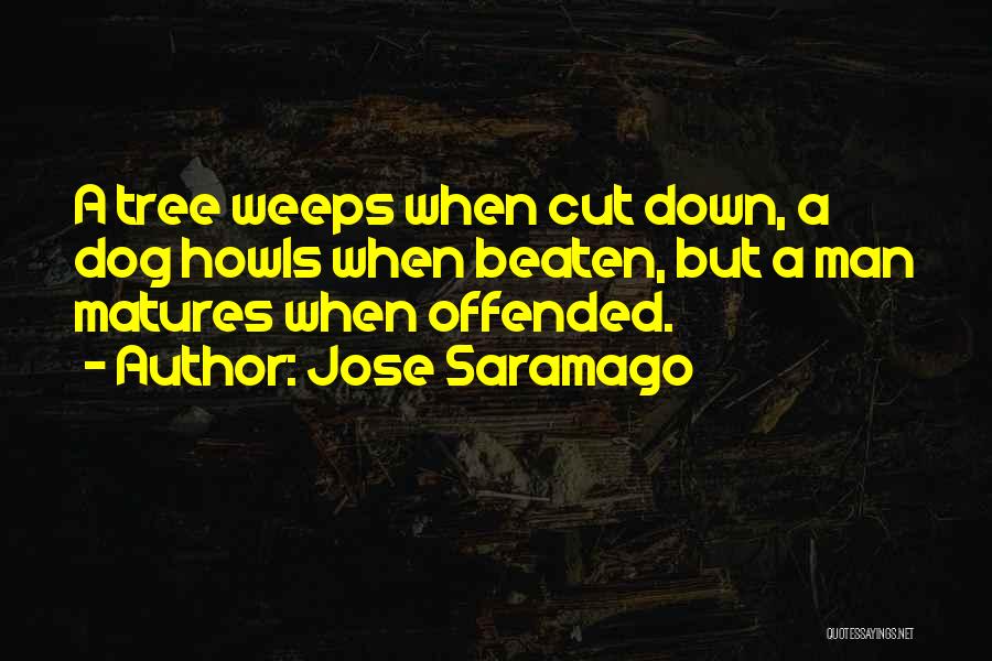 Cut Man Quotes By Jose Saramago