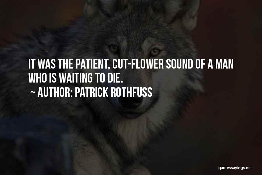 Cut Man Quotes By Patrick Rothfuss