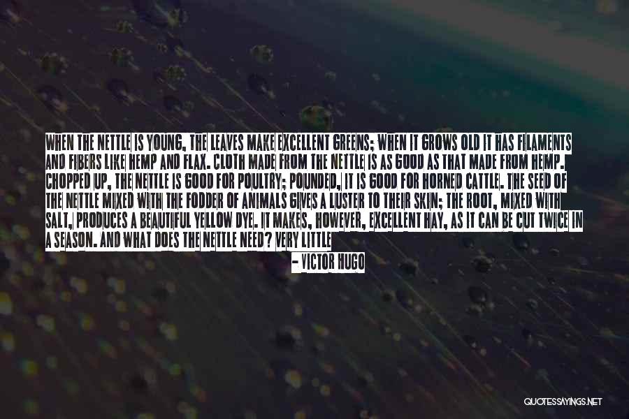 Cut Off Season Quotes By Victor Hugo Cut Off Season Quotes By Victor Hugo