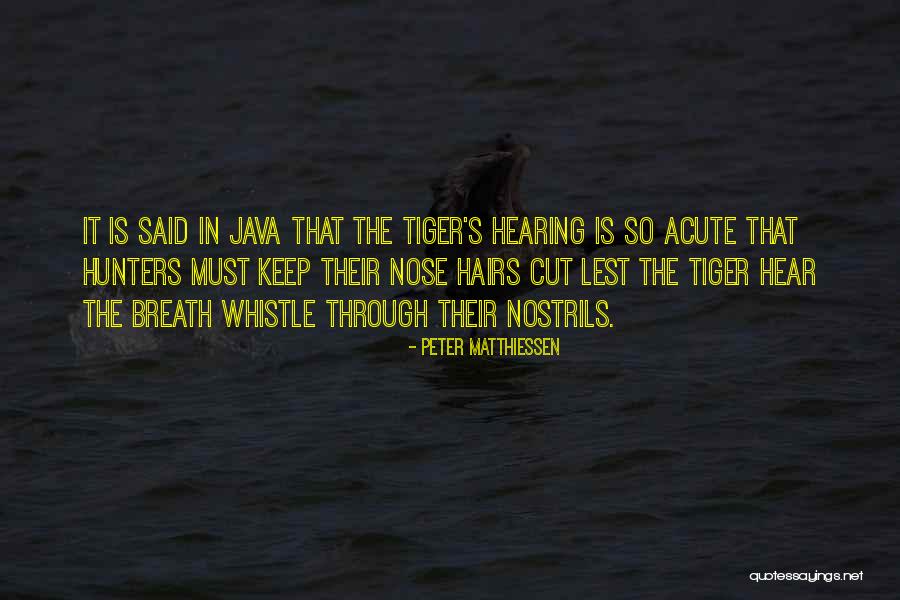 Cut Off Your Nose Quotes By Peter Matthiessen Cut Off Your Nose Quotes By Peter Matthiessen