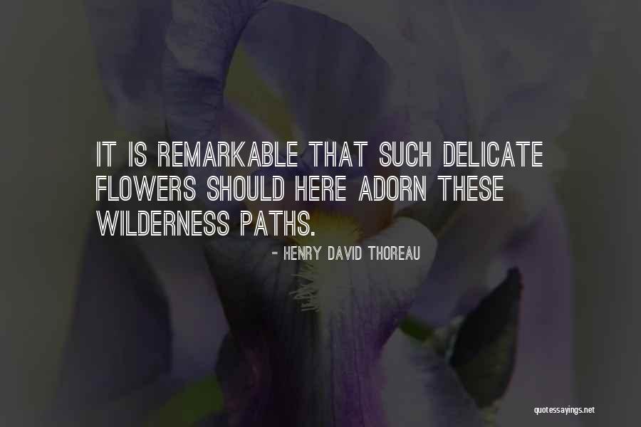 Cutdown Procedure Quotes By Henry David Thoreau Cutdown Procedure Quotes By Henry David Thoreau