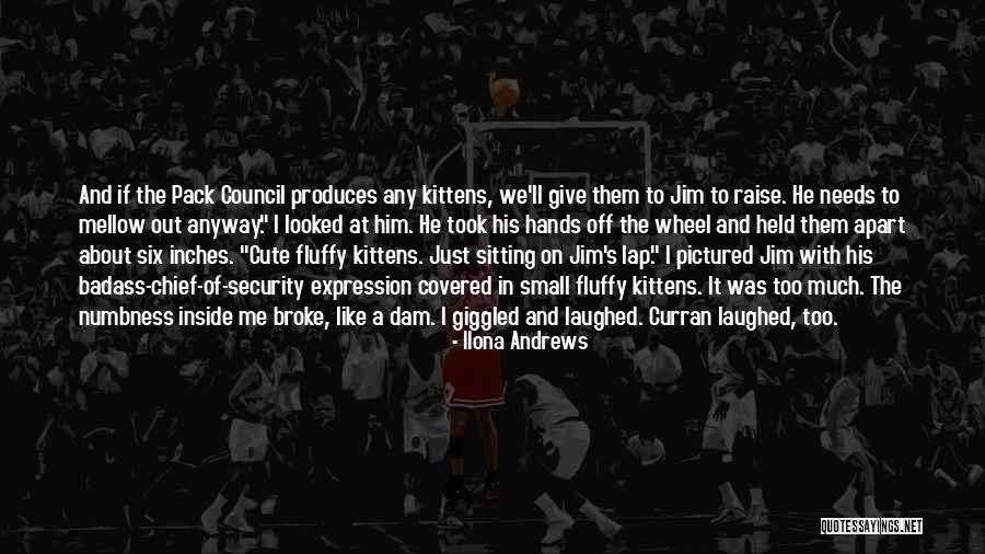 Cute About Him Quotes By Ilona Andrews Cute About Him Quotes By Ilona Andrews