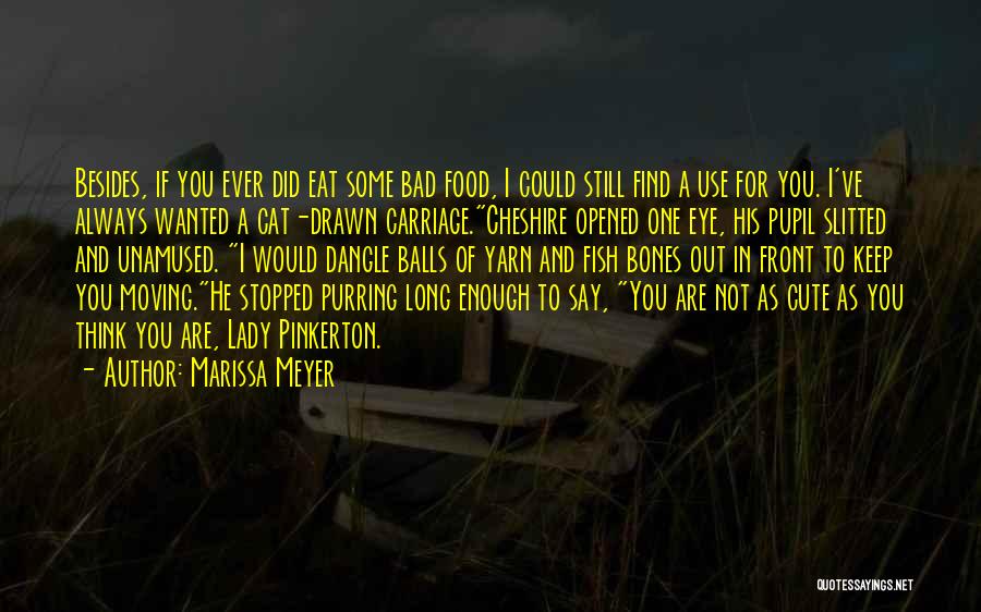 Cute And Funny Quotes By Marissa Meyer