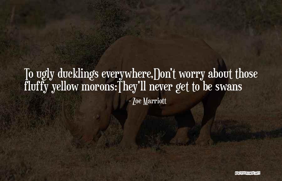 Cute And Inspirational Quotes By Zoe Marriott Cute And Inspirational Quotes By Zoe Marriott