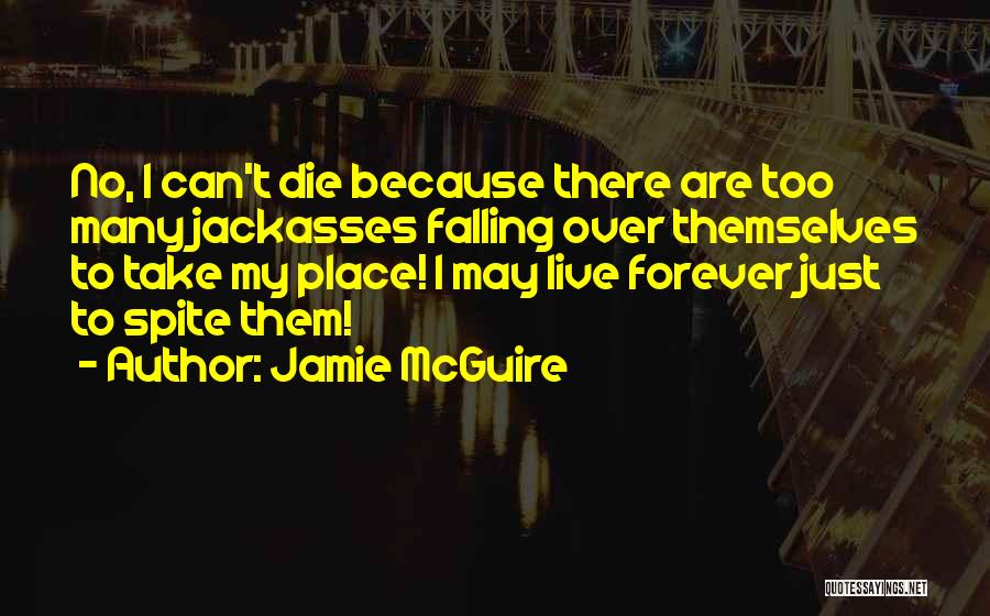 Cute And Romantic Quotes By Jamie McGuire