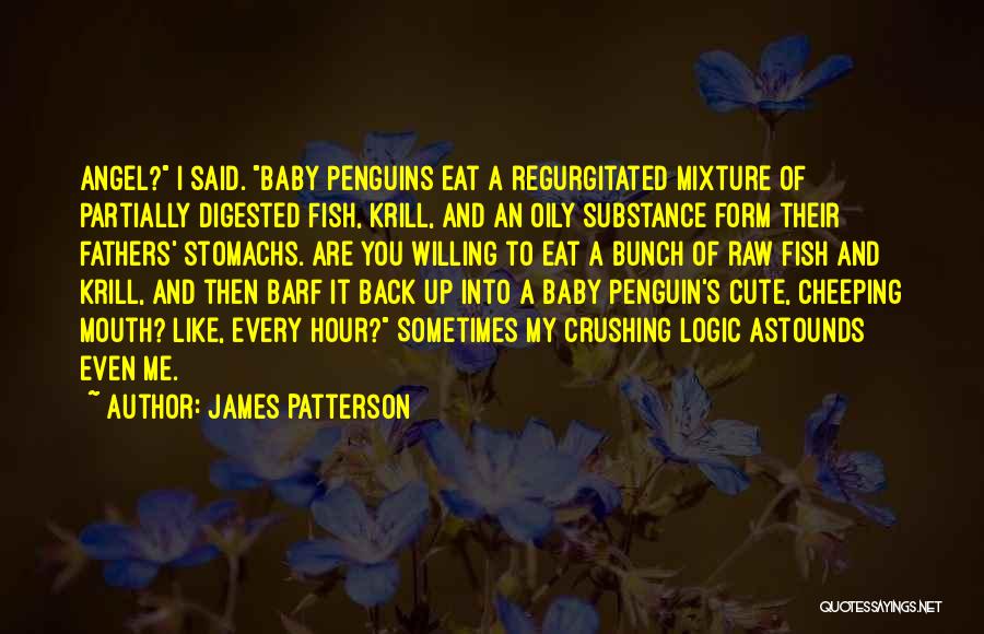 Cute Crushing On Him Quotes By James Patterson