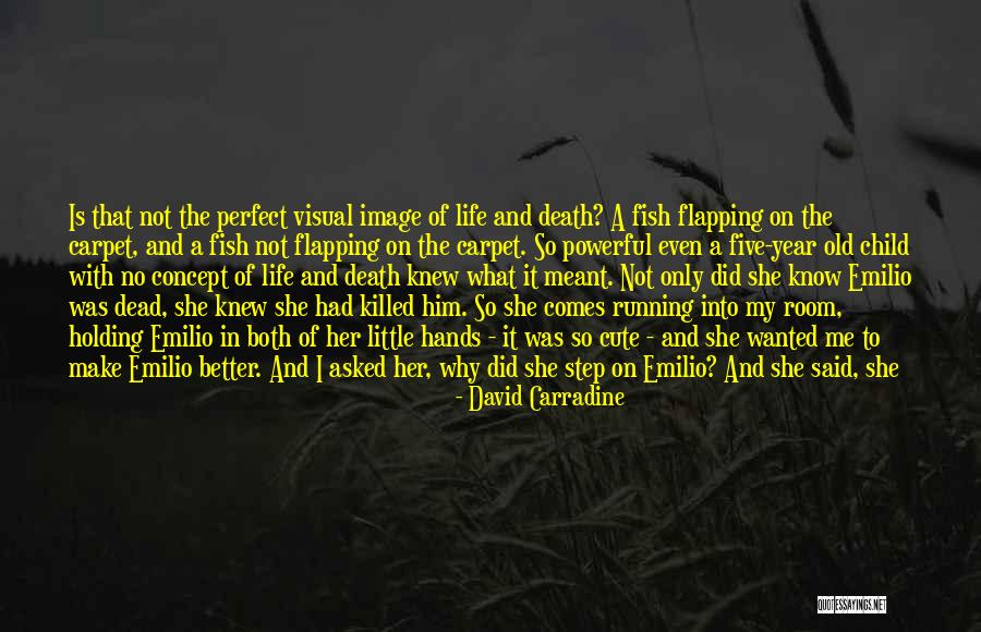 Cute Did You Know Quotes By David Carradine Cute Did You Know Quotes By David Carradine
