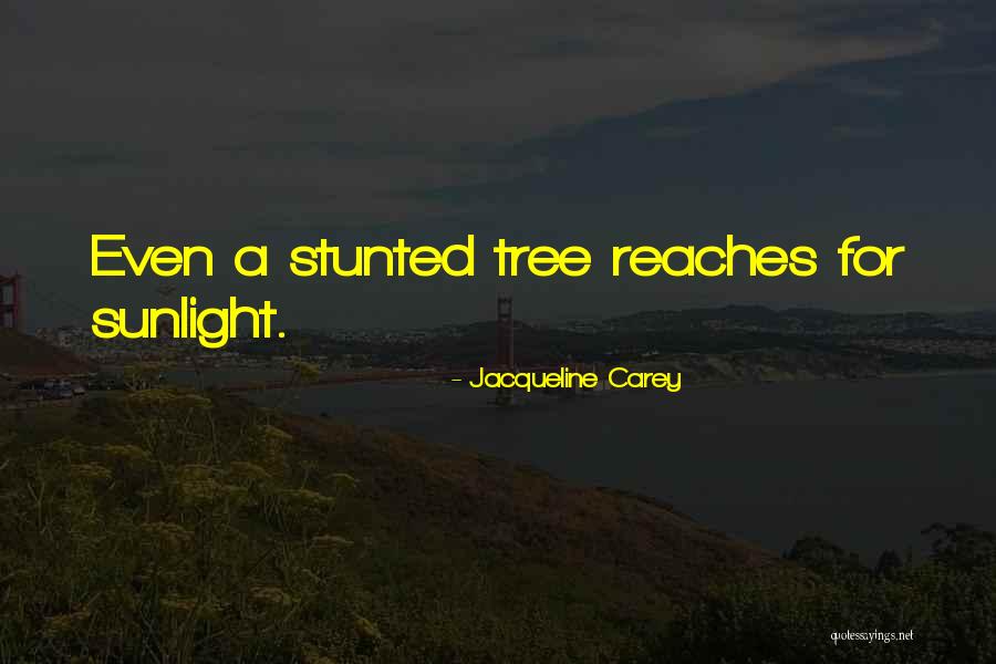 Cute Education Quotes By Jacqueline Carey Cute Education Quotes By Jacqueline Carey