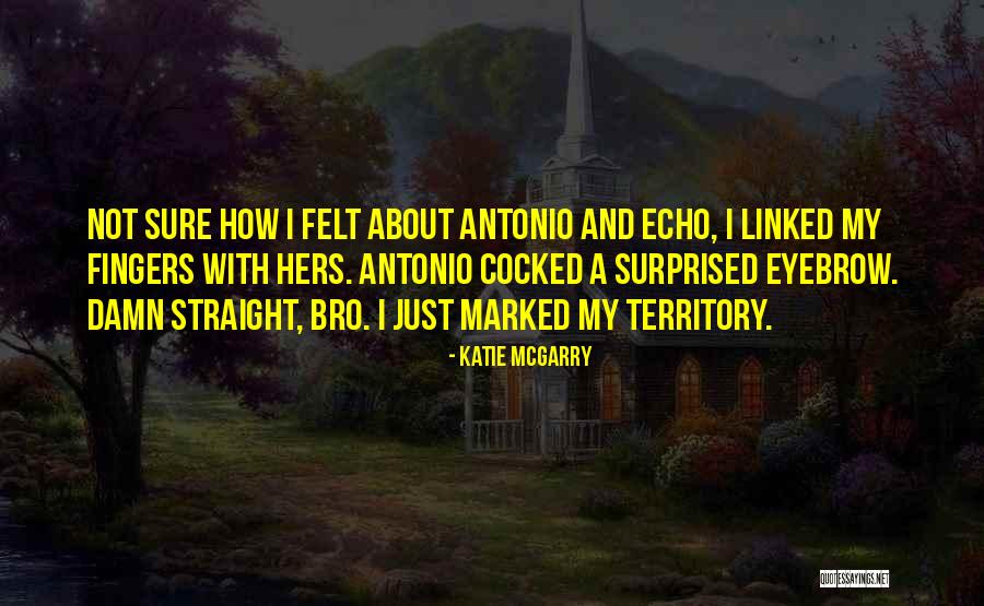 Cute Eyebrow Quotes By Katie McGarry Cute Eyebrow Quotes By Katie McGarry