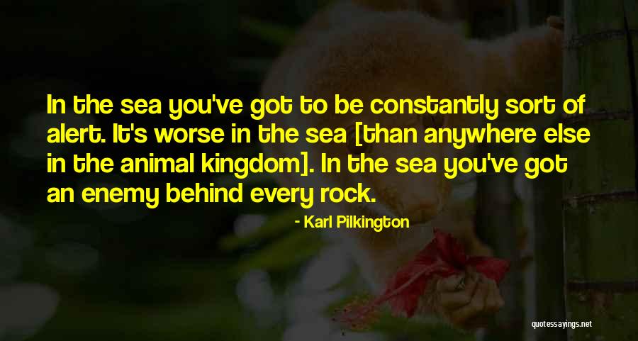 Cute Giggles Quotes By Karl Pilkington Cute Giggles Quotes By Karl Pilkington