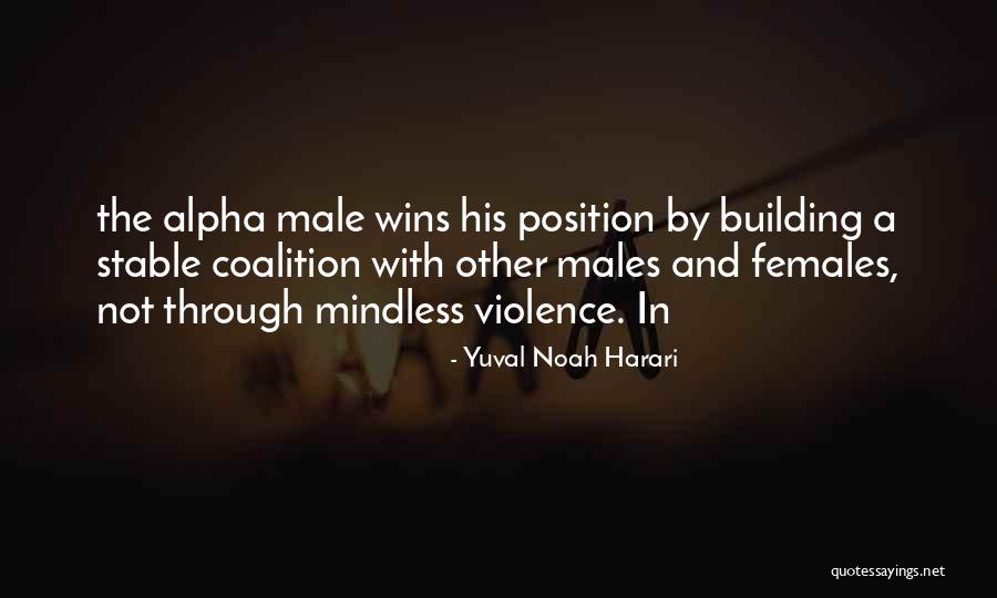 Cute Heights Quotes By Yuval Noah Harari Cute Heights Quotes By Yuval Noah Harari