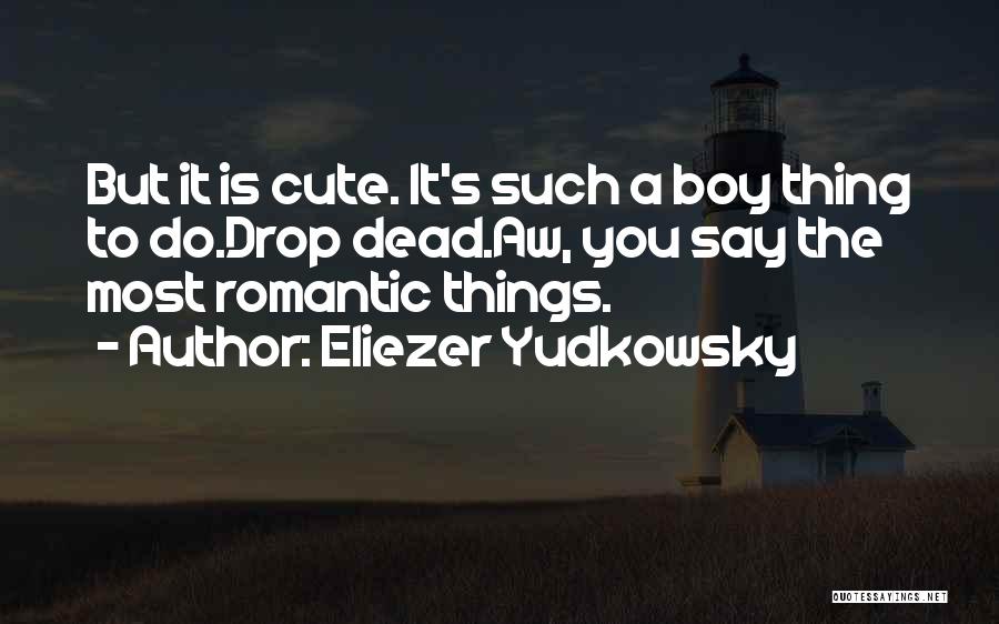 Cute It's A Boy Quotes By Eliezer Yudkowsky