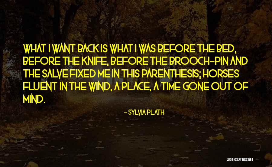 Cute Jack O Lantern Quotes By Sylvia Plath Cute Jack O Lantern Quotes By Sylvia Plath