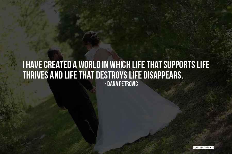 Cute Jessie And Woody Quotes By Dana Petrovic Cute Jessie And Woody Quotes By Dana Petrovic