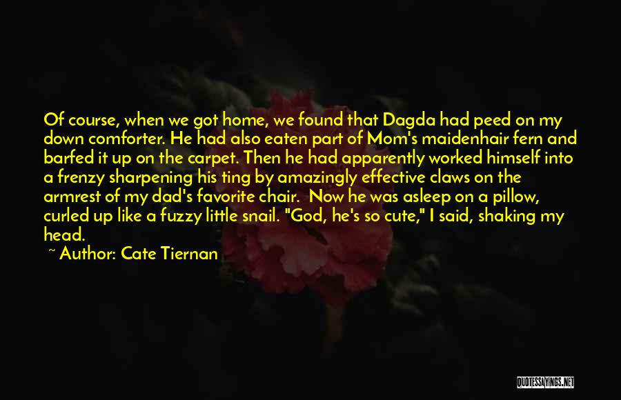 Cute Little Quotes By Cate Tiernan