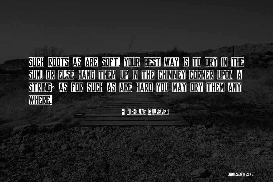 Cute Silliness Quotes By Nicholas Culpeper Cute Silliness Quotes By Nicholas Culpeper