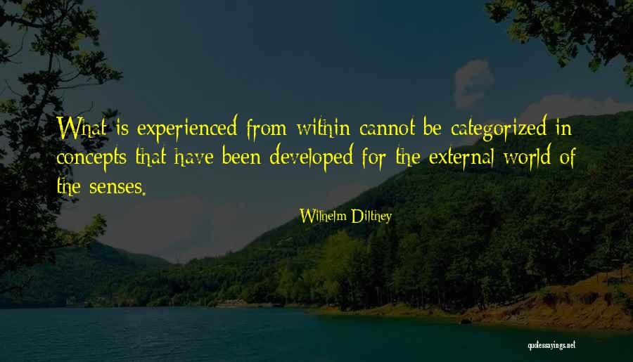 Cute Stole My Heart Quotes By Wilhelm Dilthey Cute Stole My Heart Quotes By Wilhelm Dilthey