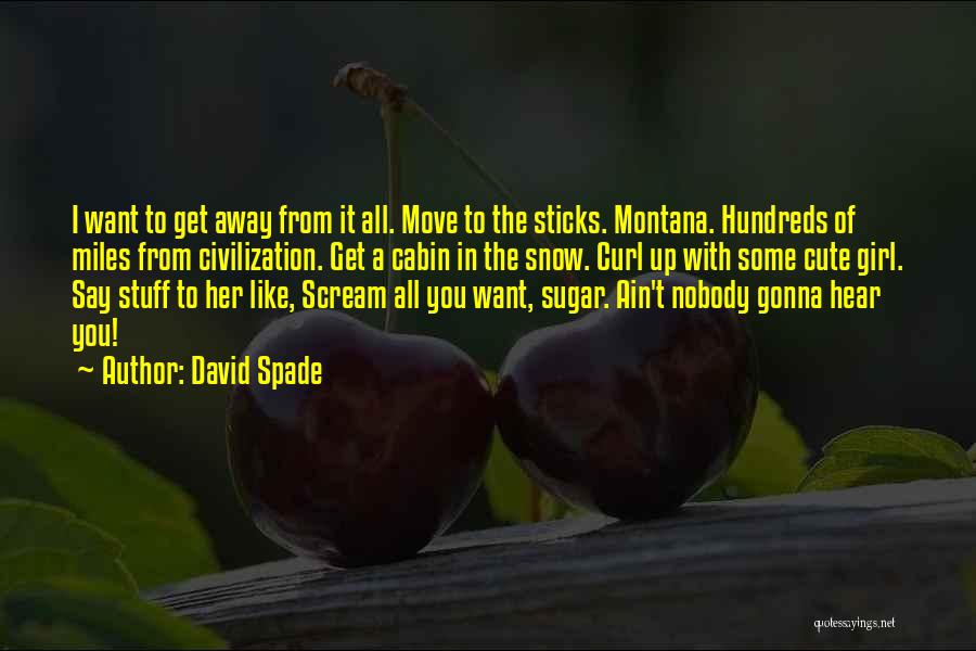 Cute Stuff Quotes By David Spade