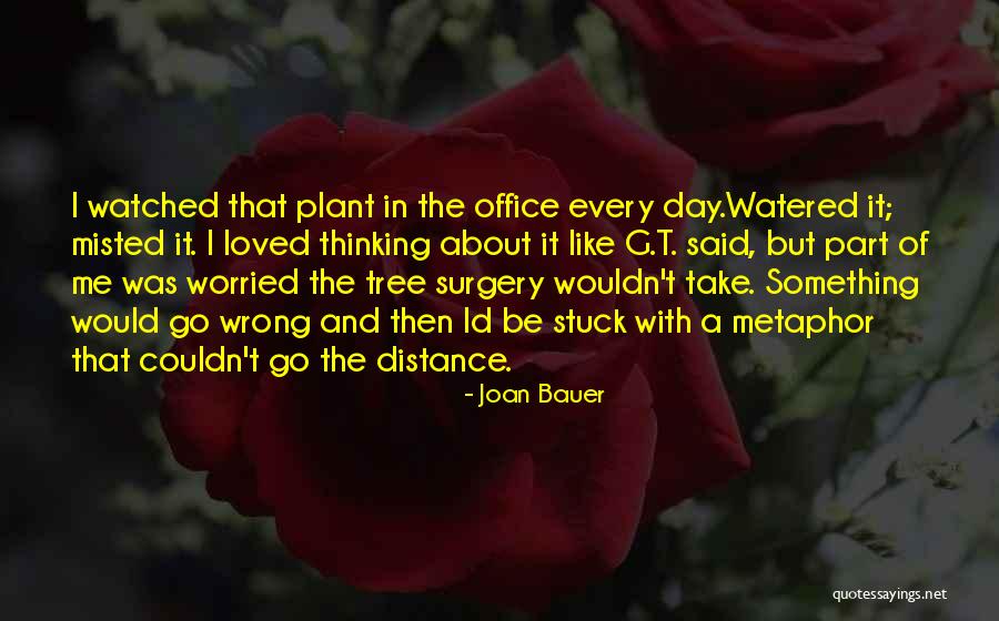 Cute Thrifting Quotes By Joan Bauer Cute Thrifting Quotes By Joan Bauer