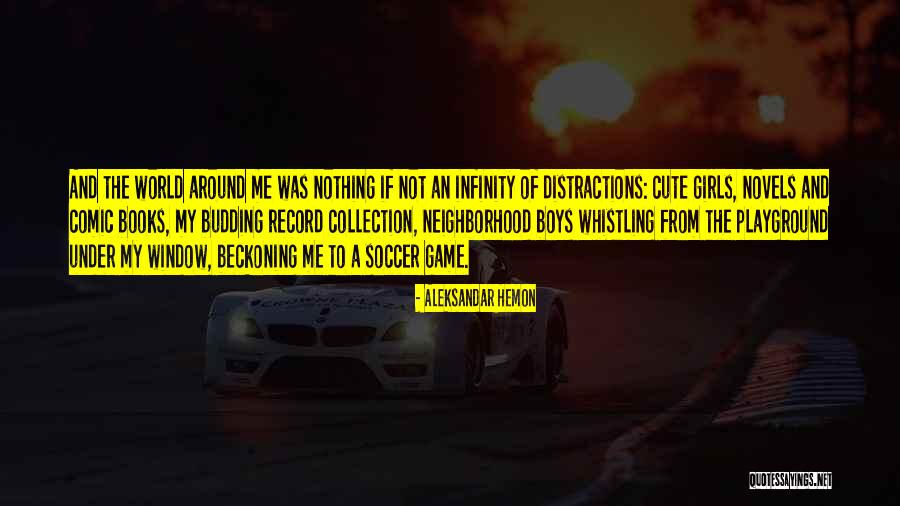 Cute Window Quotes By Aleksandar Hemon