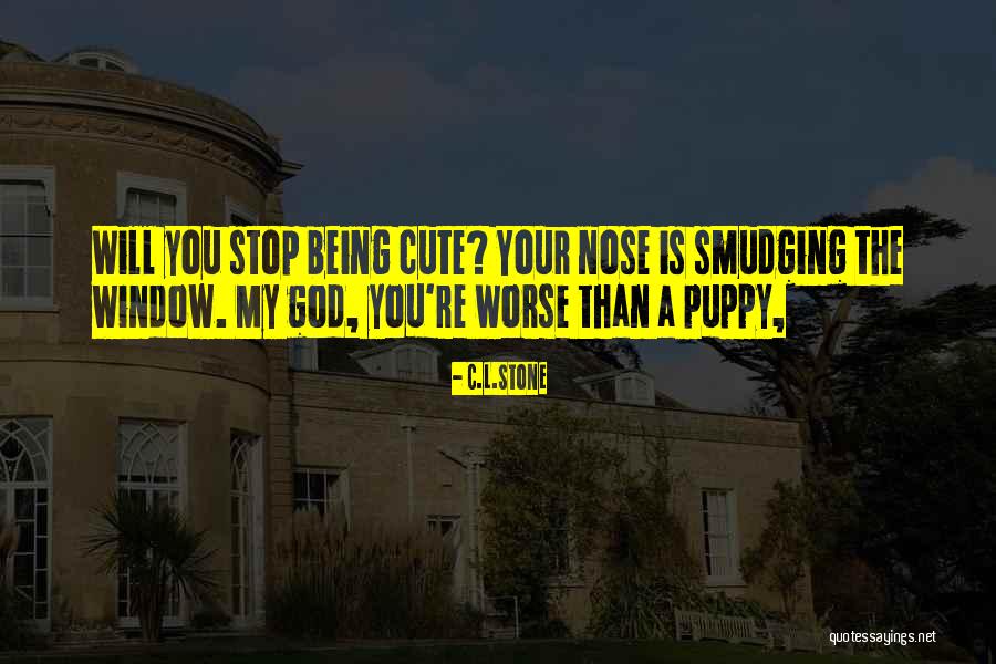 Cute Window Quotes By C.L.Stone