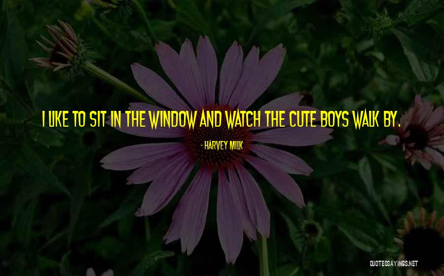 Cute Window Quotes By Harvey Milk