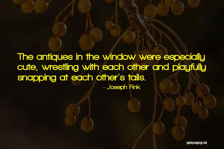 Cute Window Quotes By Joseph Fink