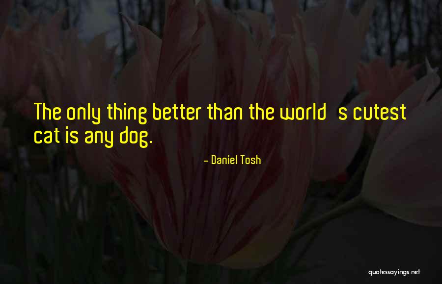 Cutest Dog In The World Quotes By Daniel Tosh Cutest Dog In The World Quotes By Daniel Tosh