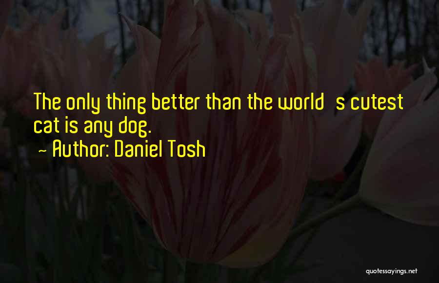 Cutest Ever Quotes By Daniel Tosh