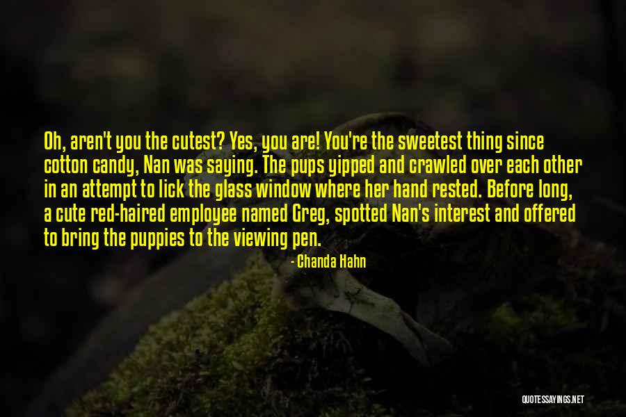 Cutest Quotes By Chanda Hahn