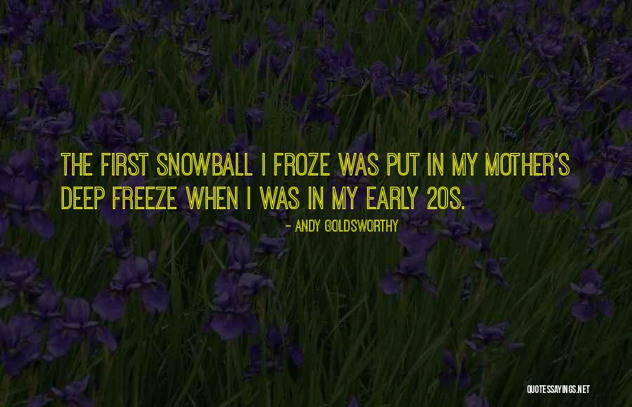 Cutezanta Dex Quotes By Andy Goldsworthy Cutezanta Dex Quotes By Andy Goldsworthy