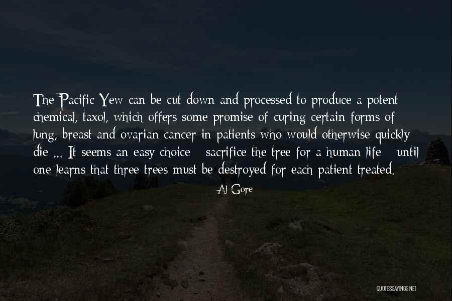 Cutting Down Trees Quotes By Al Gore Cutting Down Trees Quotes By Al Gore