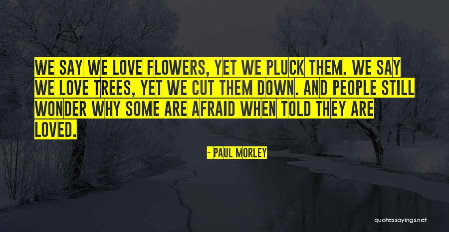 Cutting Down Trees Quotes By Paul Morley Cutting Down Trees Quotes By Paul Morley