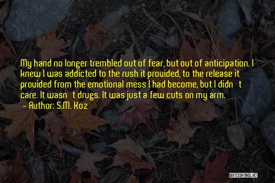 Cutting My Arm Quotes By S.M. Koz